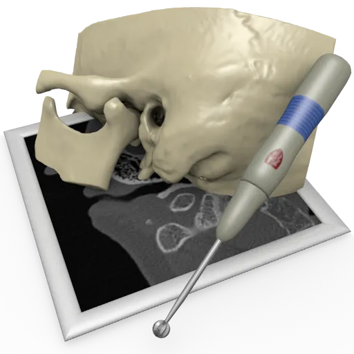 Surgical Simulator Multimodal Feedback